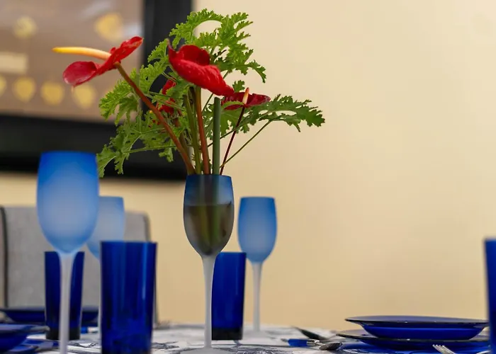 Sunscape T2 פונשל