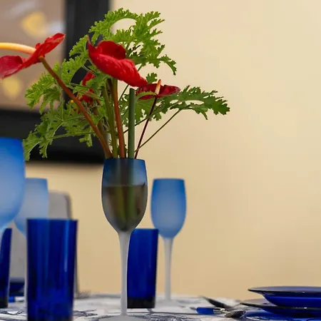 Sunscape T2 פונשל